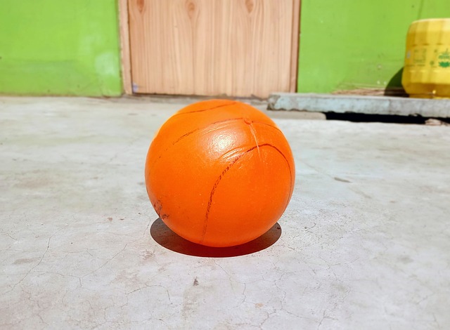 赛场视野 赛场视野