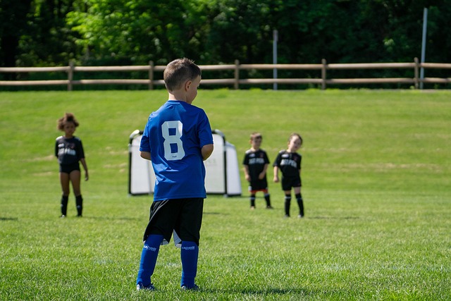 近年来的优 近年来的优