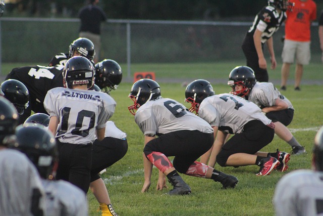 金州勇士队 金州勇士队