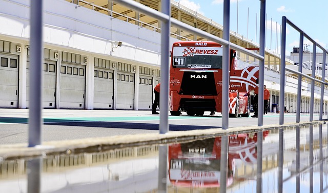 益的课后活 益的课后活