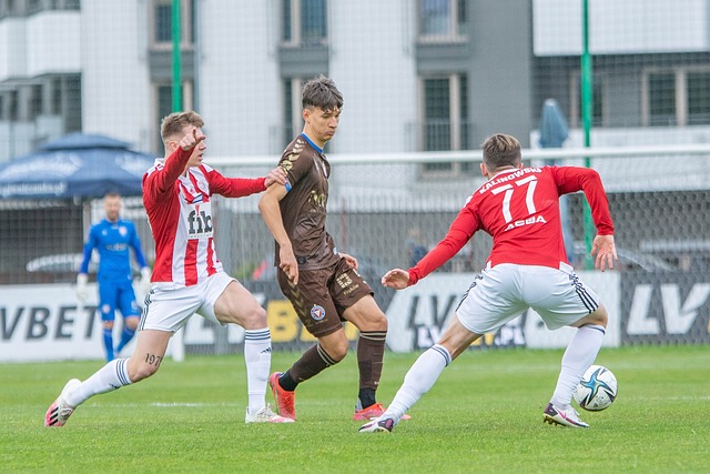 学校可以大 学校可以大