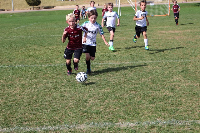 进一步巩固 进一步巩固