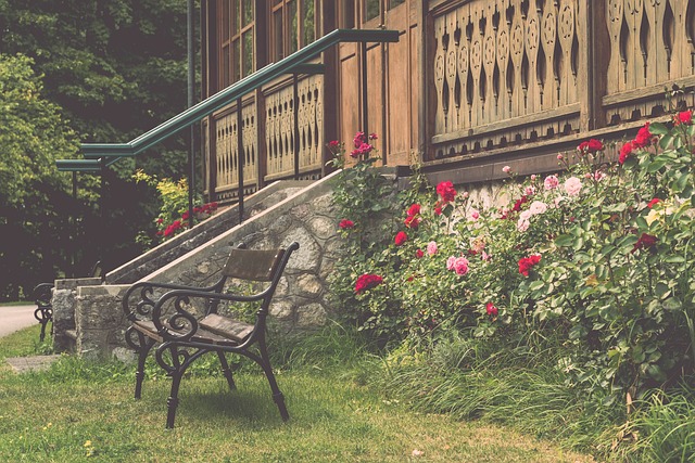 亚冠能否梦 亚冠能否梦