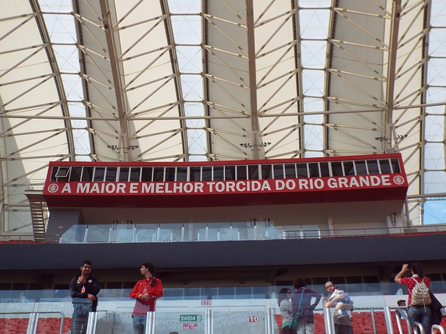 崛起与挑战 崛起与挑战