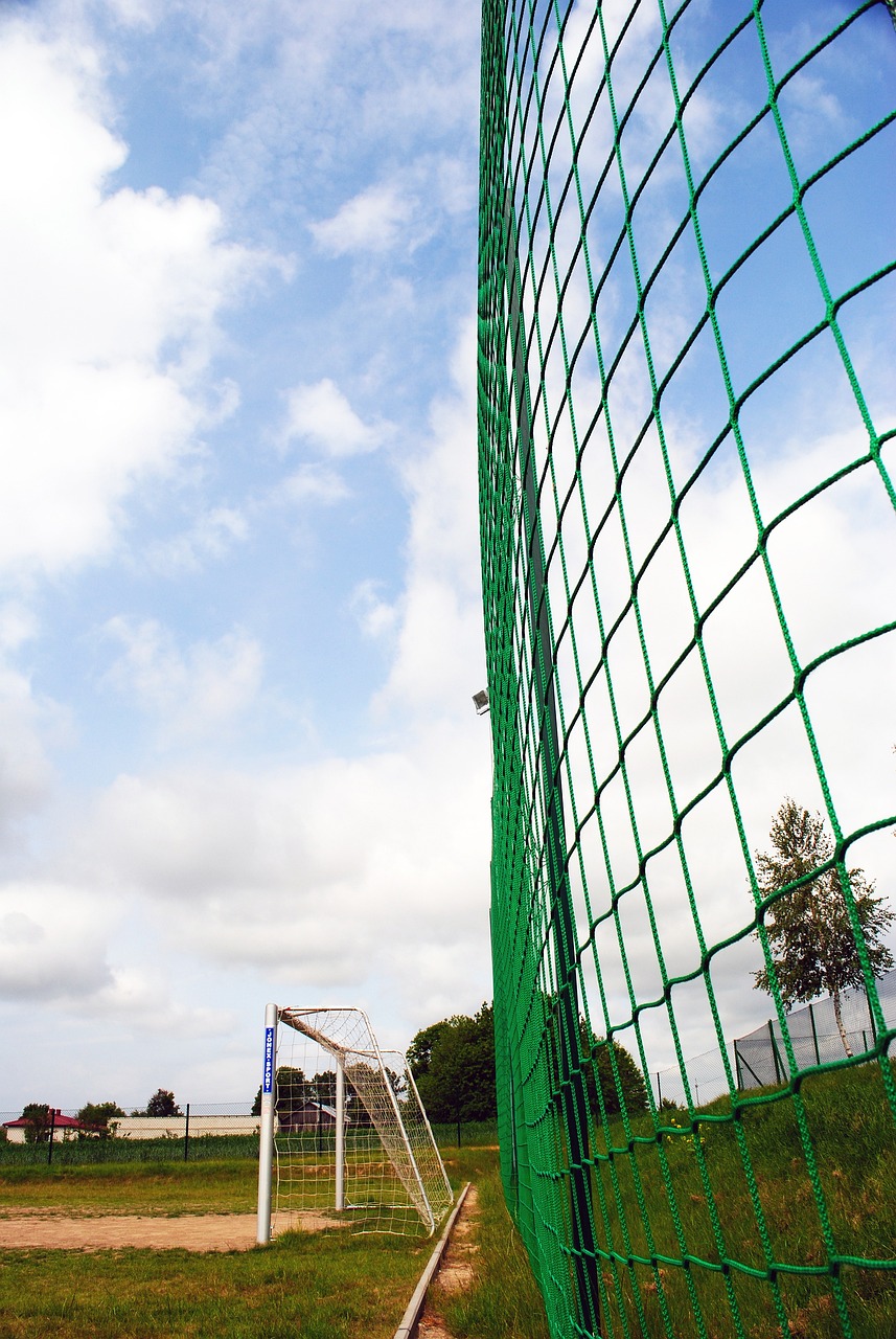 了独到的见 了独到的见