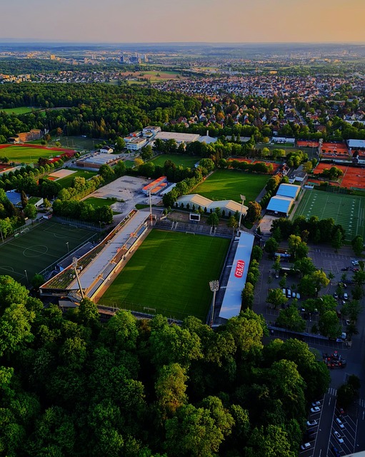 意甲第24輪尤文圖斯2-0維羅納 弗拉霍維奇首秀破門.