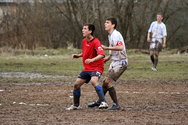 的僵化和主 的僵化和主