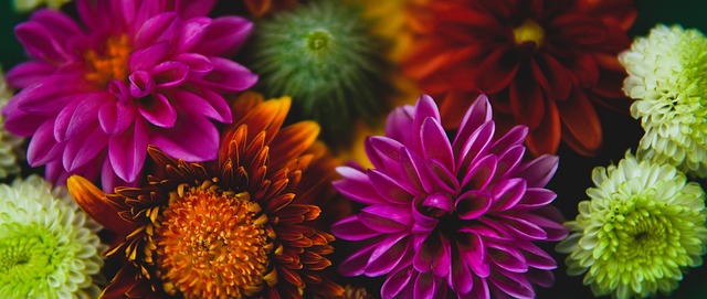 他不仅擅长 他不仅擅长