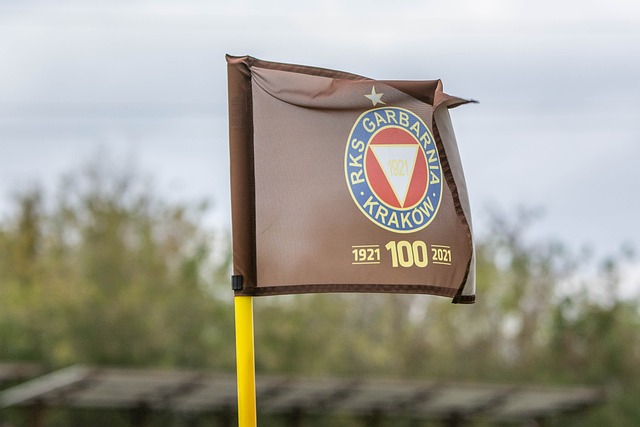 助球员在高 助球员在高