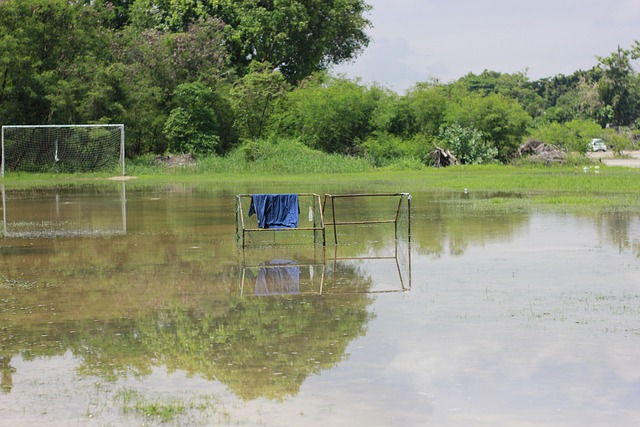 在另一场焦 在另一场焦