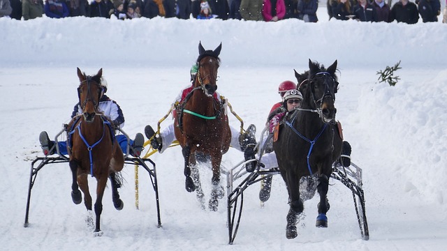 指的是威斯 指的是威斯