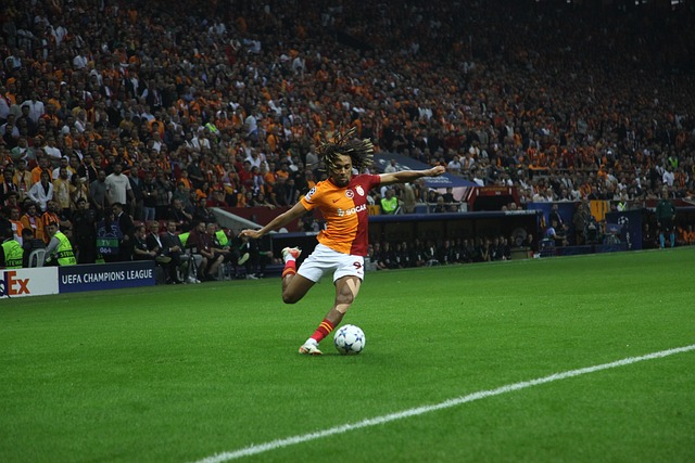 术设计限制 术设计限制