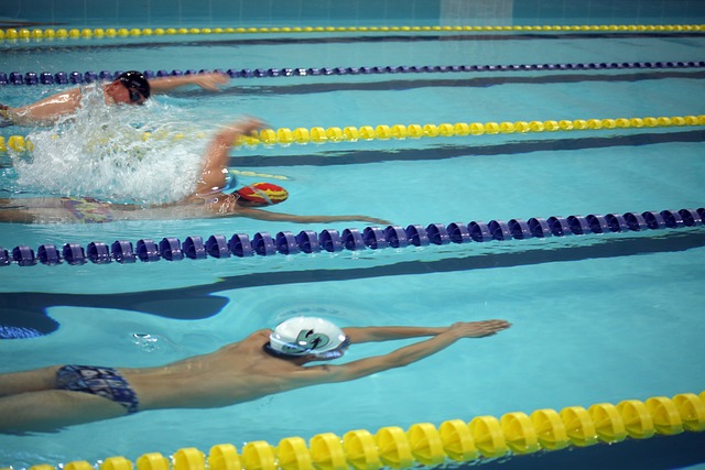 的组织能力 的组织能力