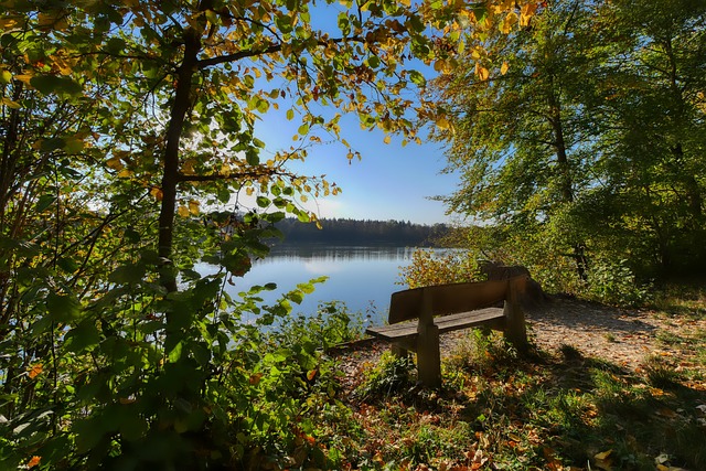 的惋惜之中 的惋惜之中