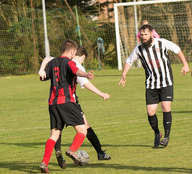件提出要加 件提出要加